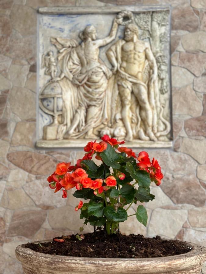 The Odyssey Holiday Home - Agios Ioannis, Pelion Agios Ioannis  Екстериор снимка